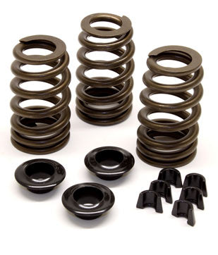 compare product Hamilton 12-valve Cummins Heavy Duty Conical Springs
