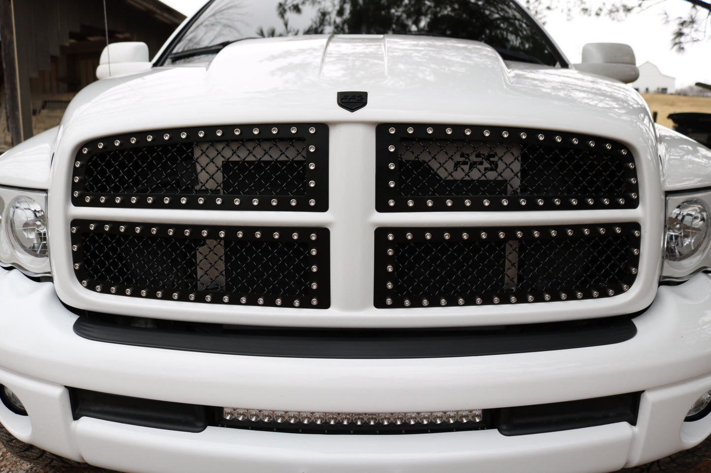 3rd Gen Early Ram FFS Grille Inserts 03-05